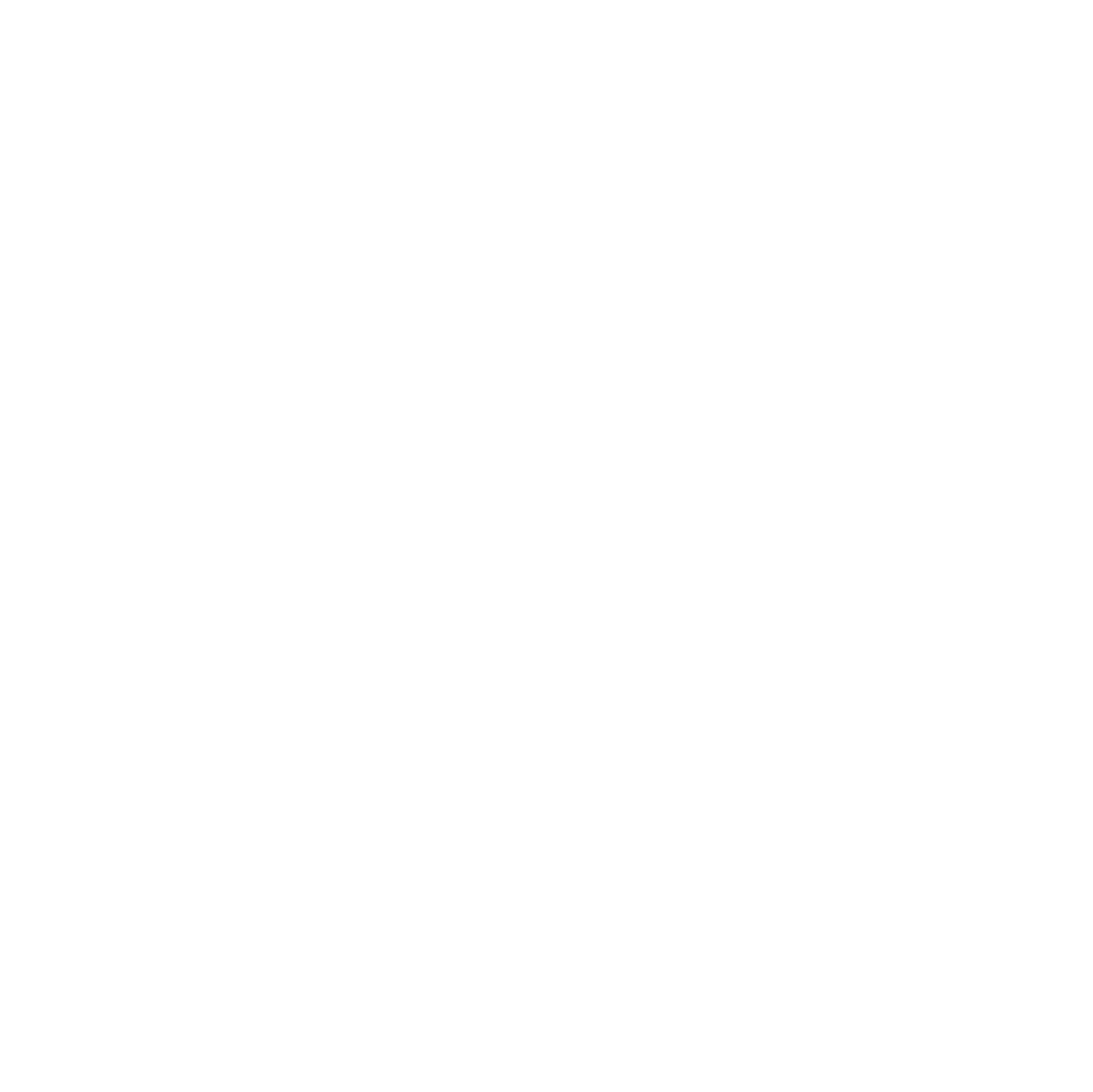 Asset 2SpaDragon logo