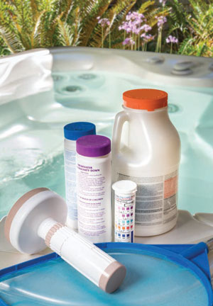 Spring spa cleaning bundle
